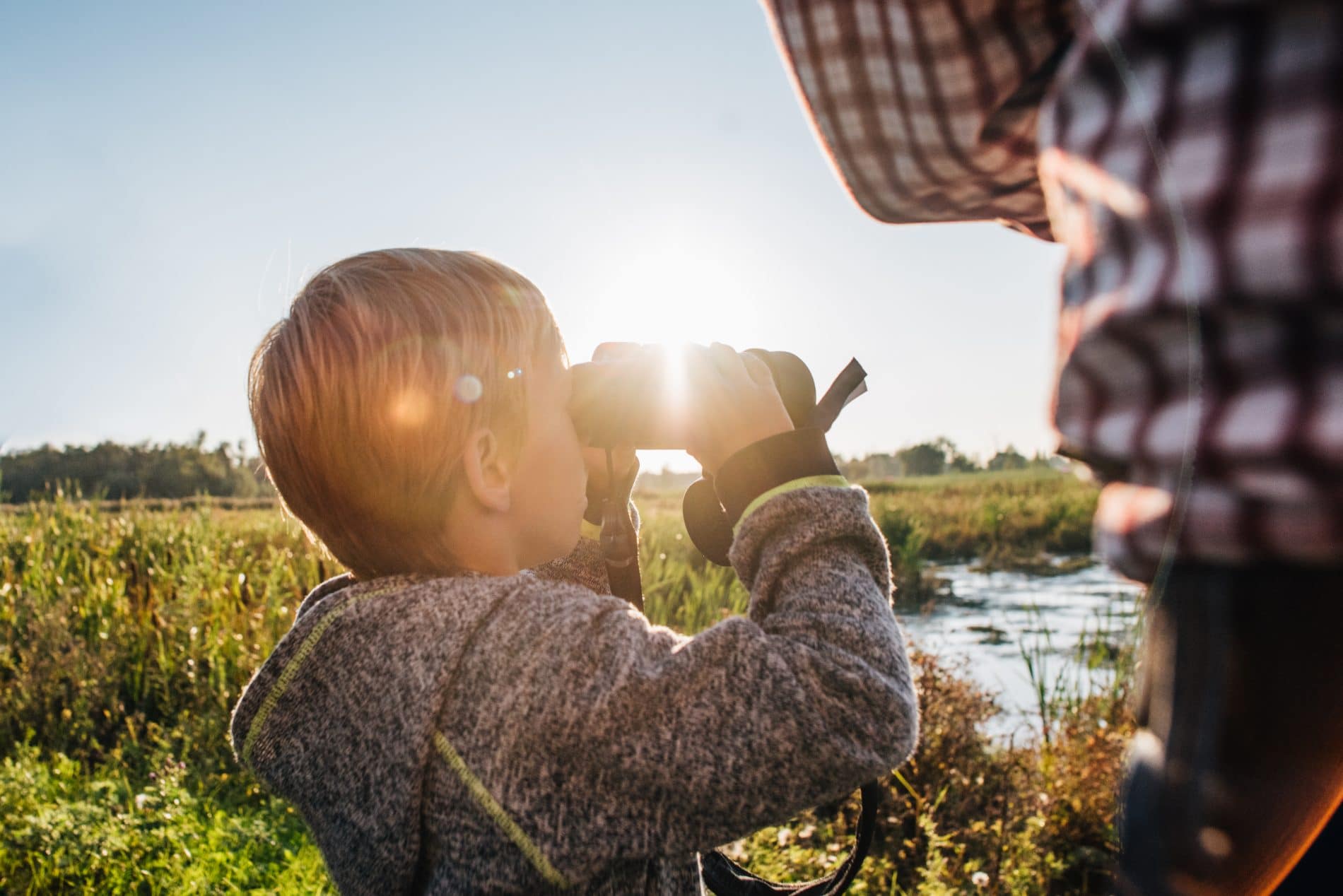 Exploring in Biesbosch