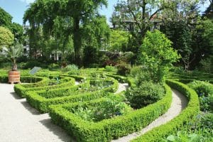 Botanical gardens Amsterdam