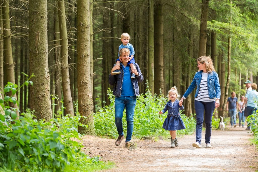 Esbeek forest