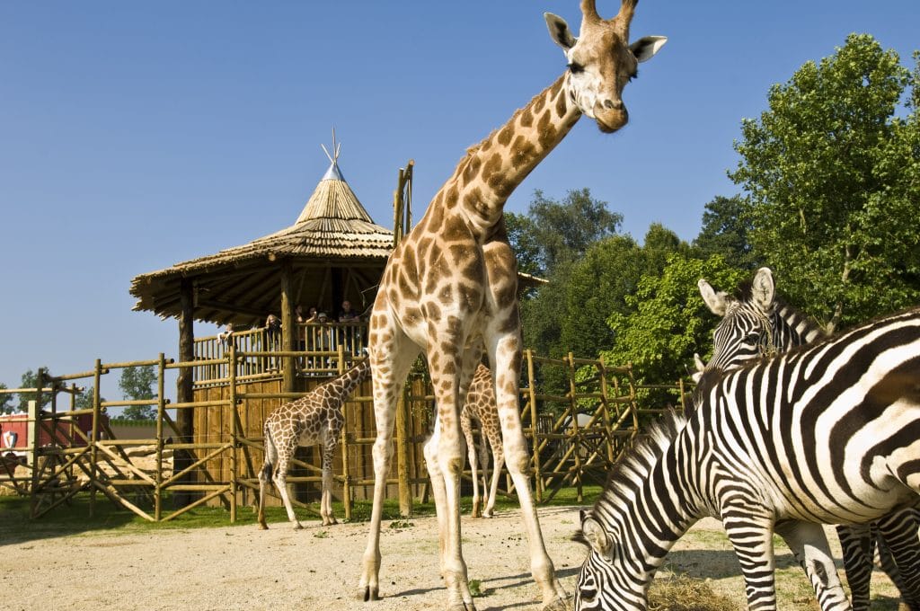 Bellewaerde zoo