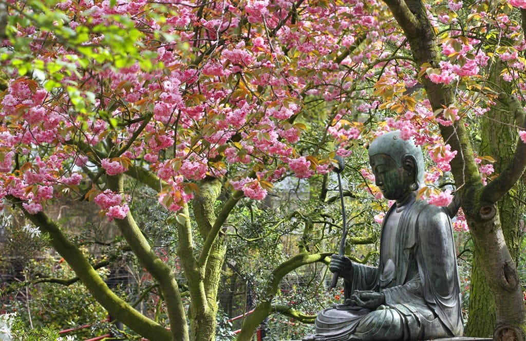 Buddha at Artis zoo