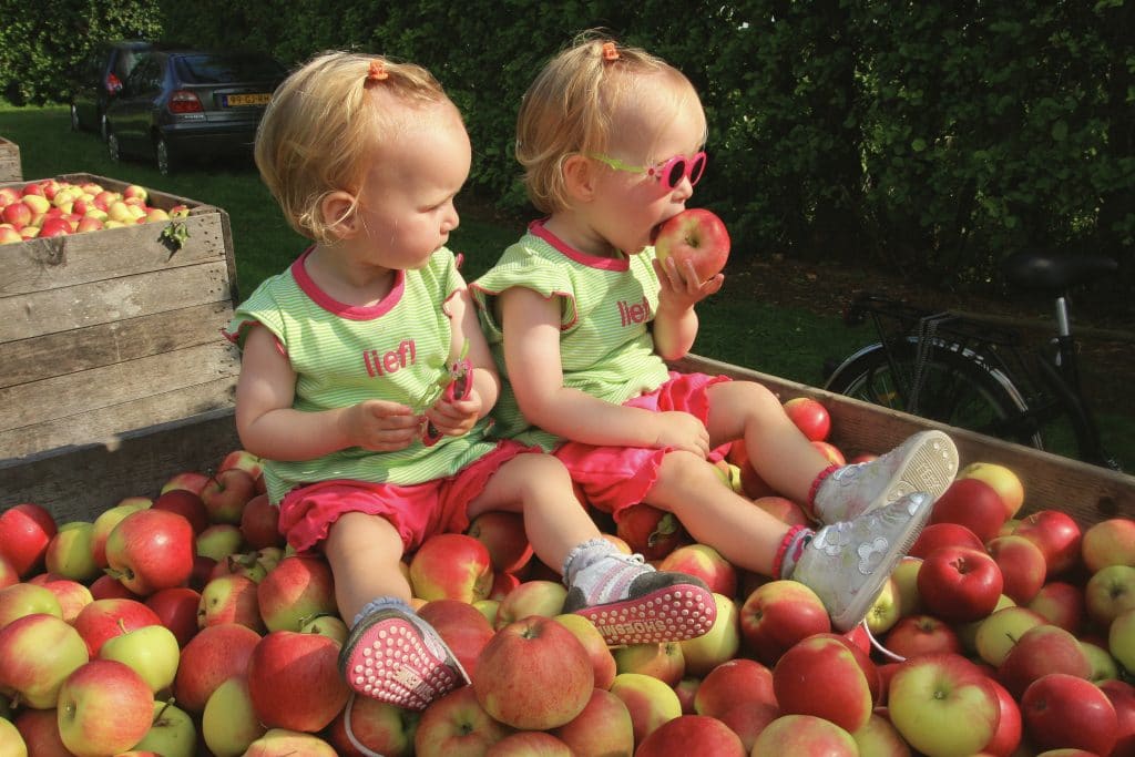 Kids and apples