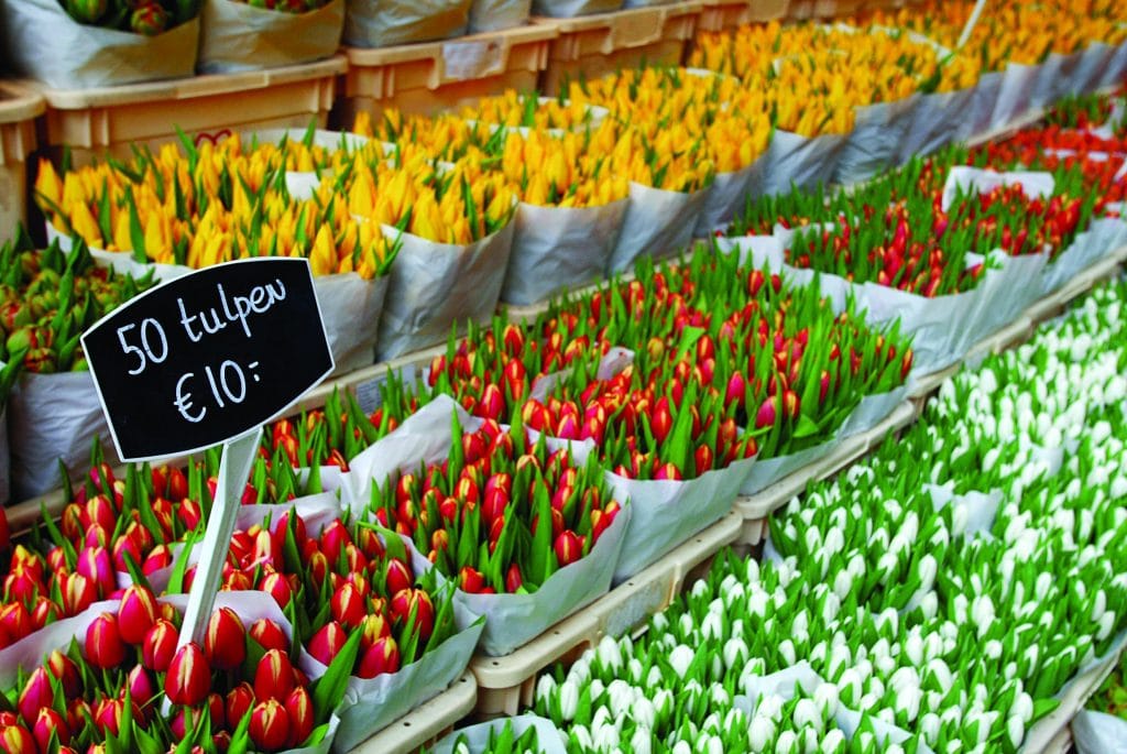 Tulip stall