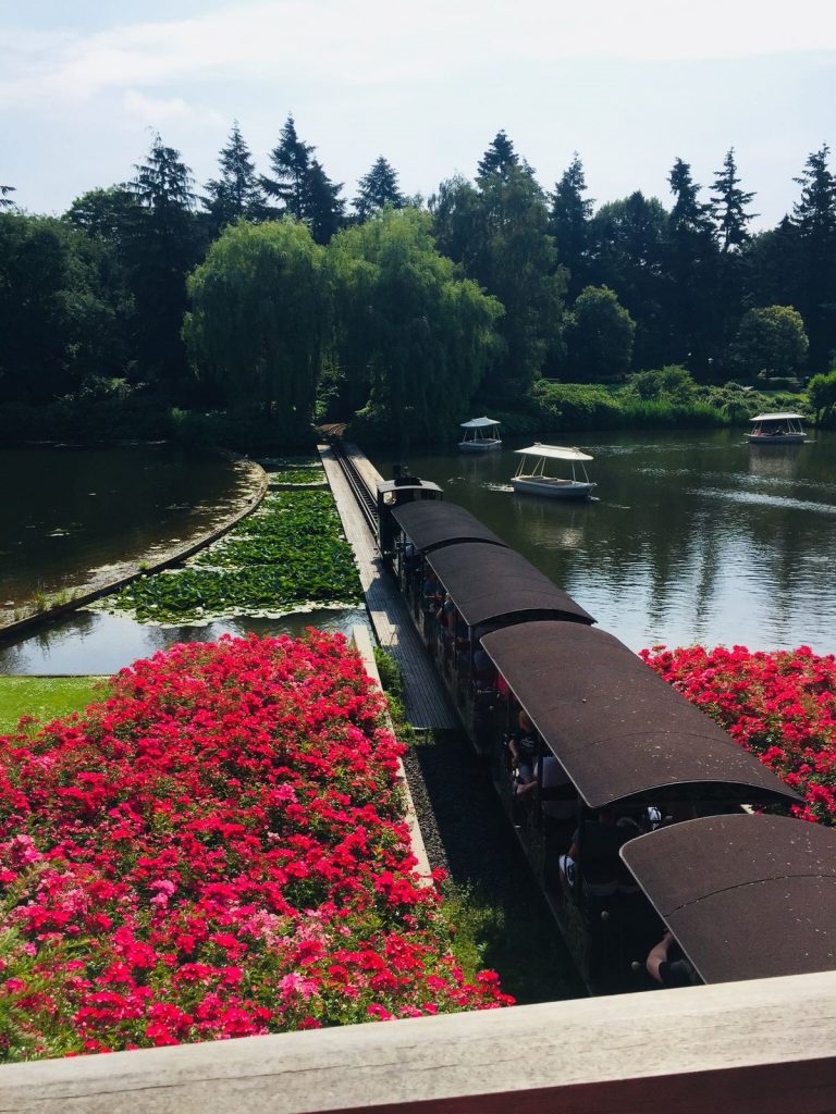 Steam Train Rider Efteling