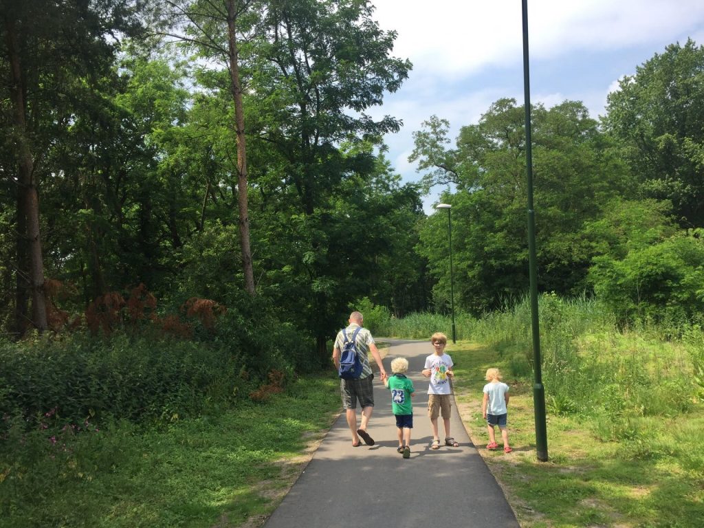 Woodland Walk To Efteling