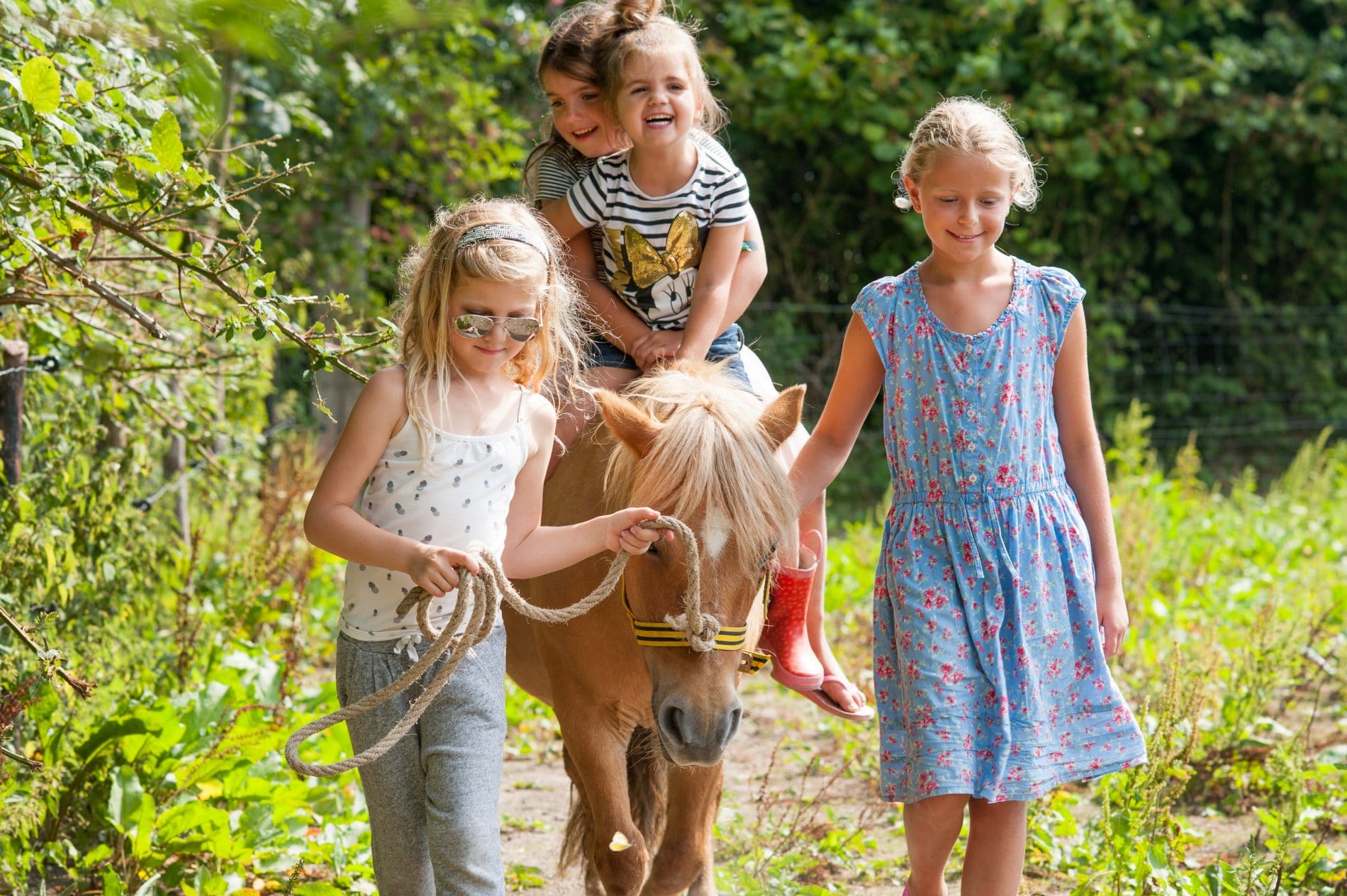 Farmcamps Mariekerke Ponies