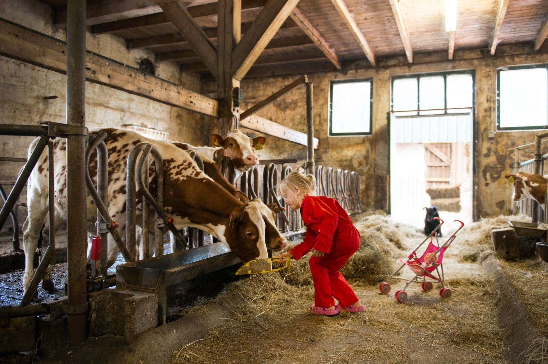 Farmcamps 't Oortjeshek