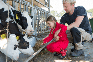 Boebadoe Cow Feeding