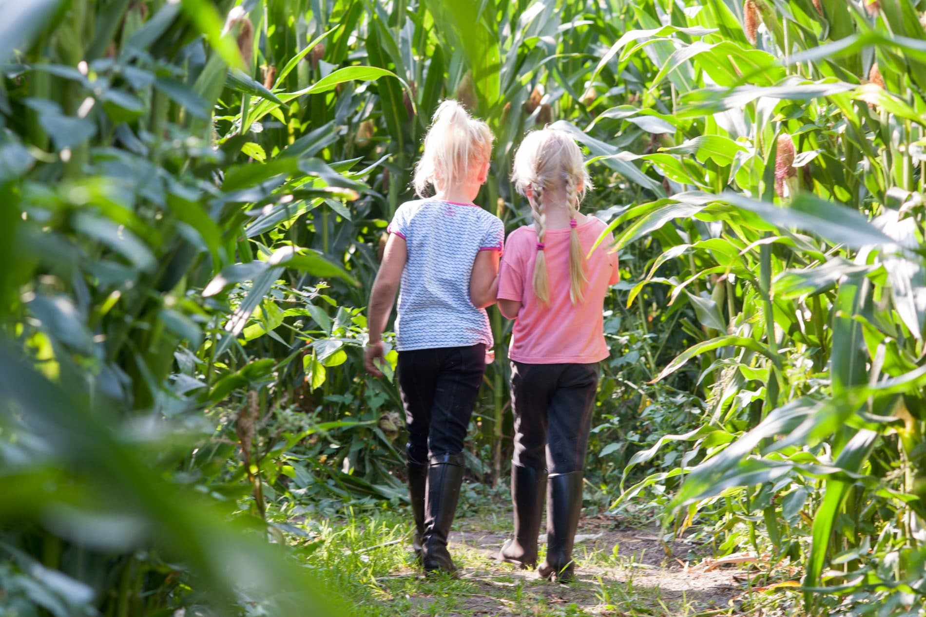 Girls on Breehees Farm