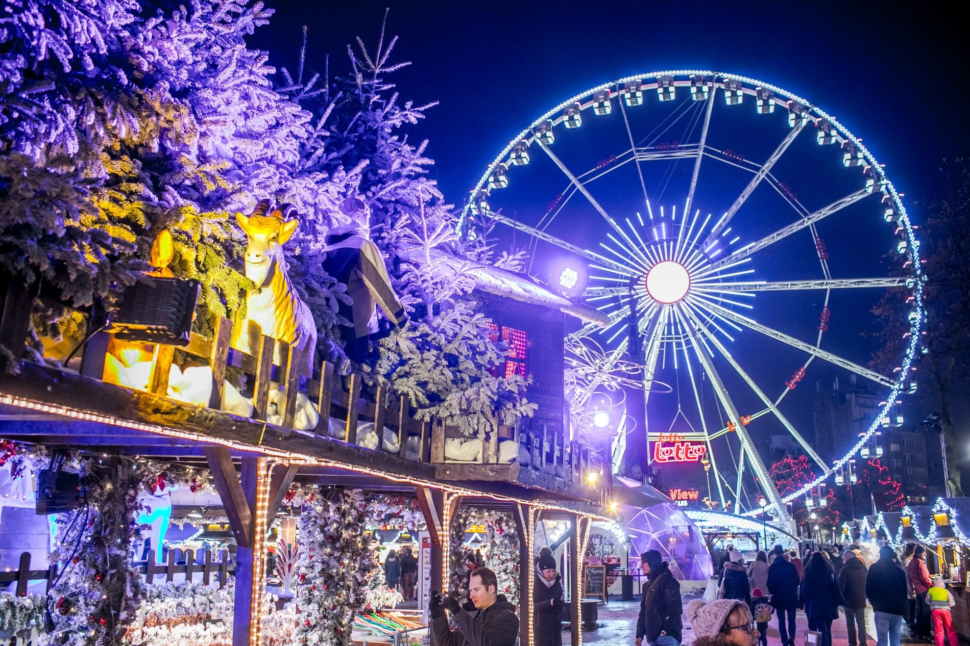5 Reasons to Visit Holland or Belgium This Winter