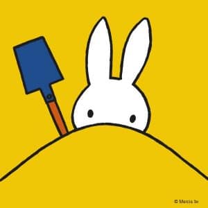 Miffy on the beach