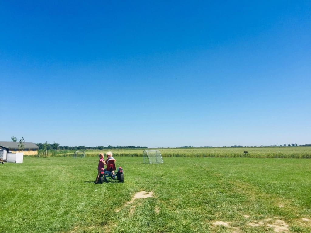 Children In Field