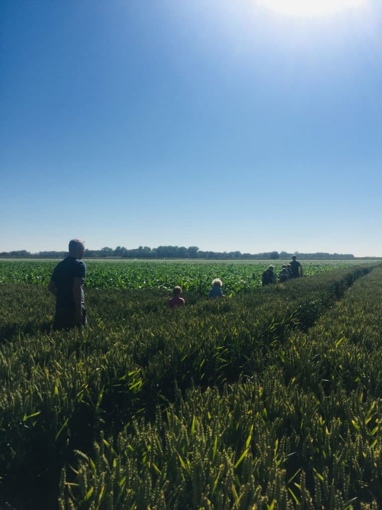 Oranjepolder crop