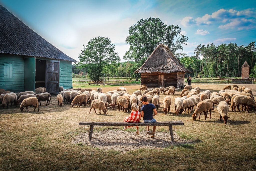 BOKRIJK FARM