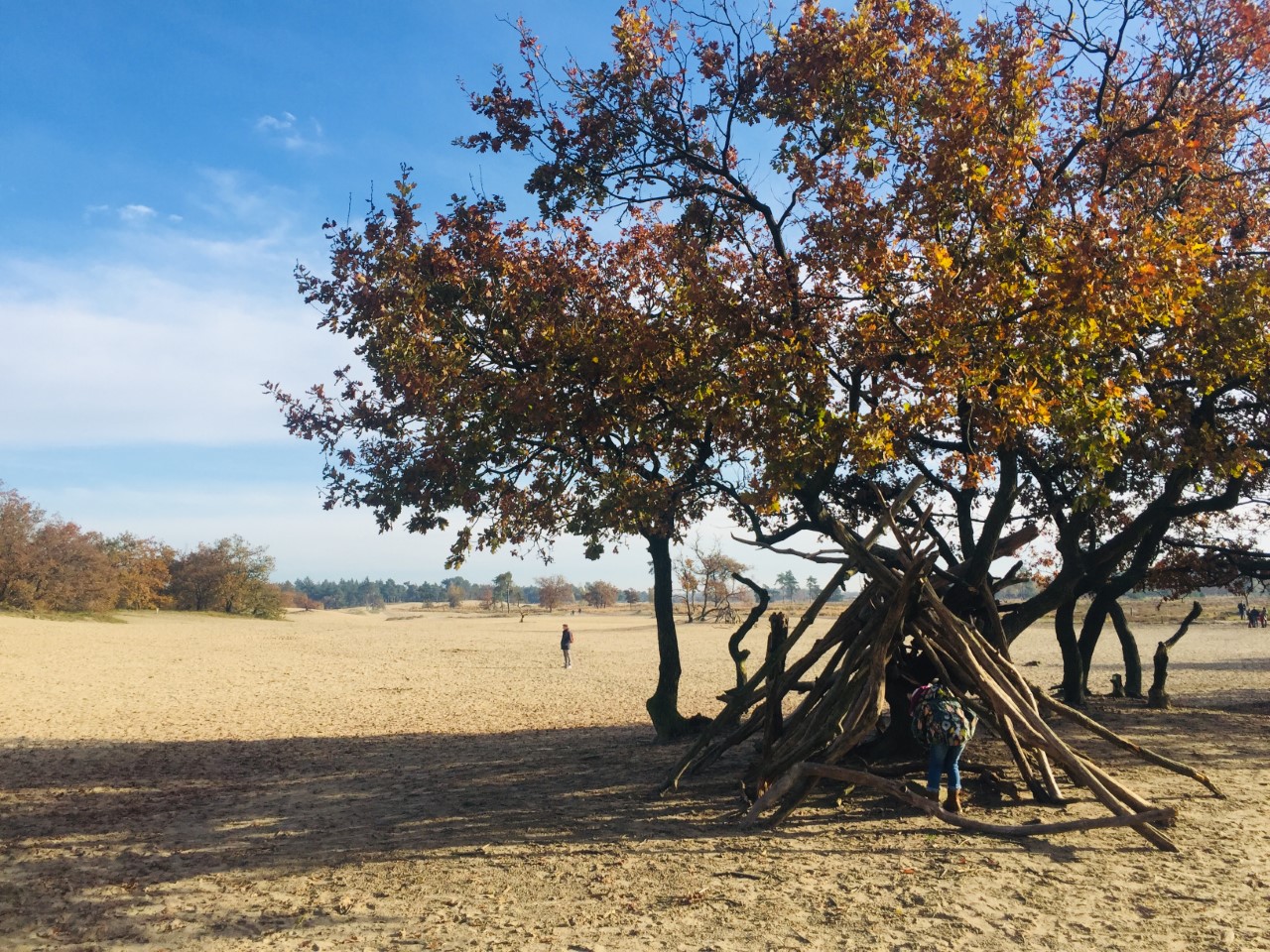 Den In Dutch Dunes