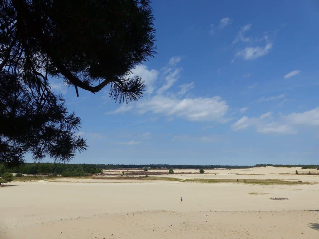 Loonse en Drunense sand dunes Holland