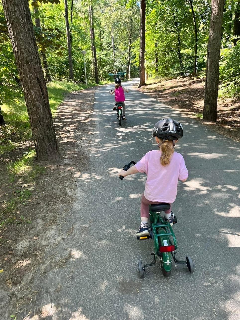 Review Landal Miggelenberg, A Magical Park! Little Clogs Holidays