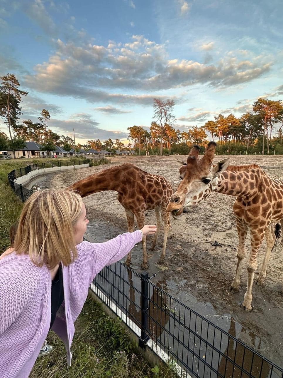 Beekse Bergen Safari Resort