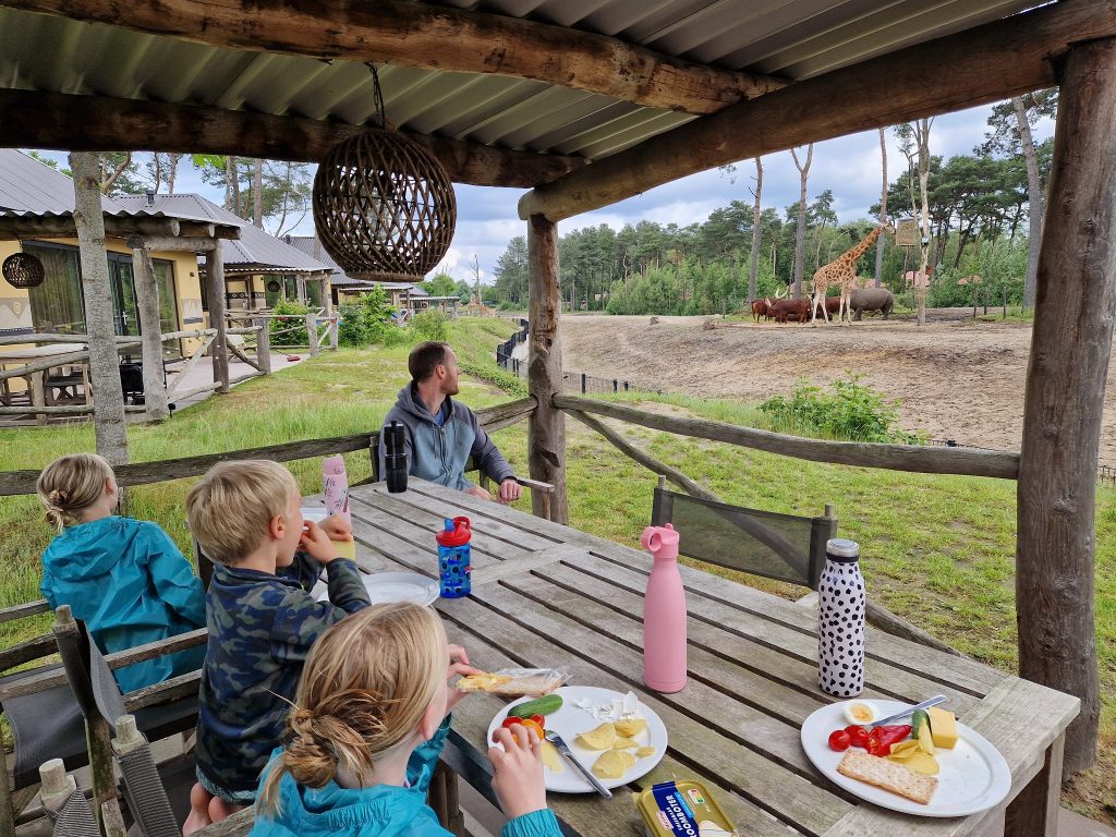 Lunch with the giraffes at Beekse Bergen