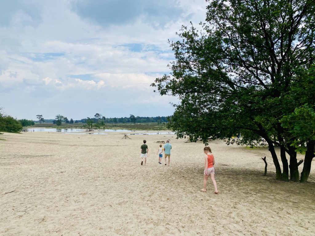 Exploring Dunes