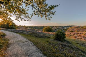 Veluwe