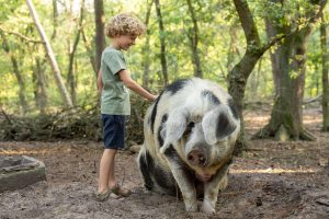 Pig FarmCamps Luyterhede