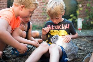 Bunnies FarmCamps Oranjepolder