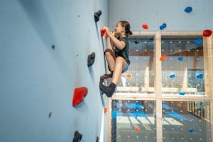 Landal Strabrechtse Vennen climbing wall