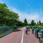 Kids cycling on cycle paths