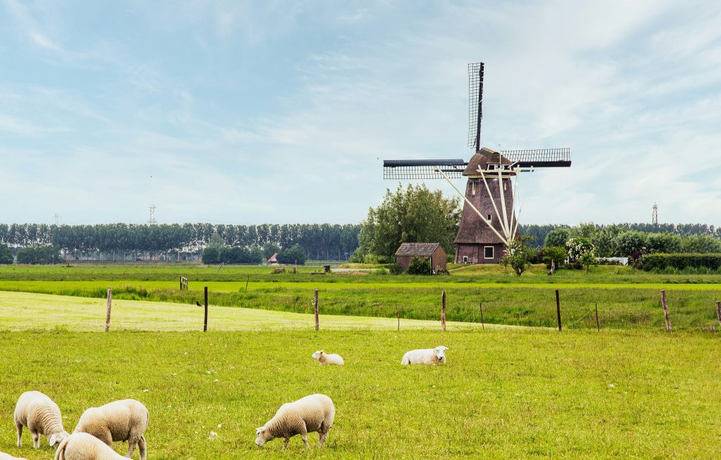 Windmill and countryside