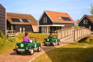 Mini Jeeps