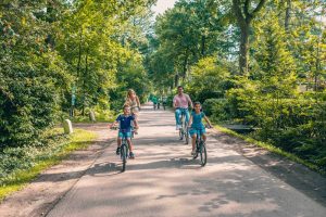 Utrechtse Heuvelrug Cycling