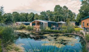 Holiday House