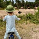Safari Resort Beekse Bergen Ostrich