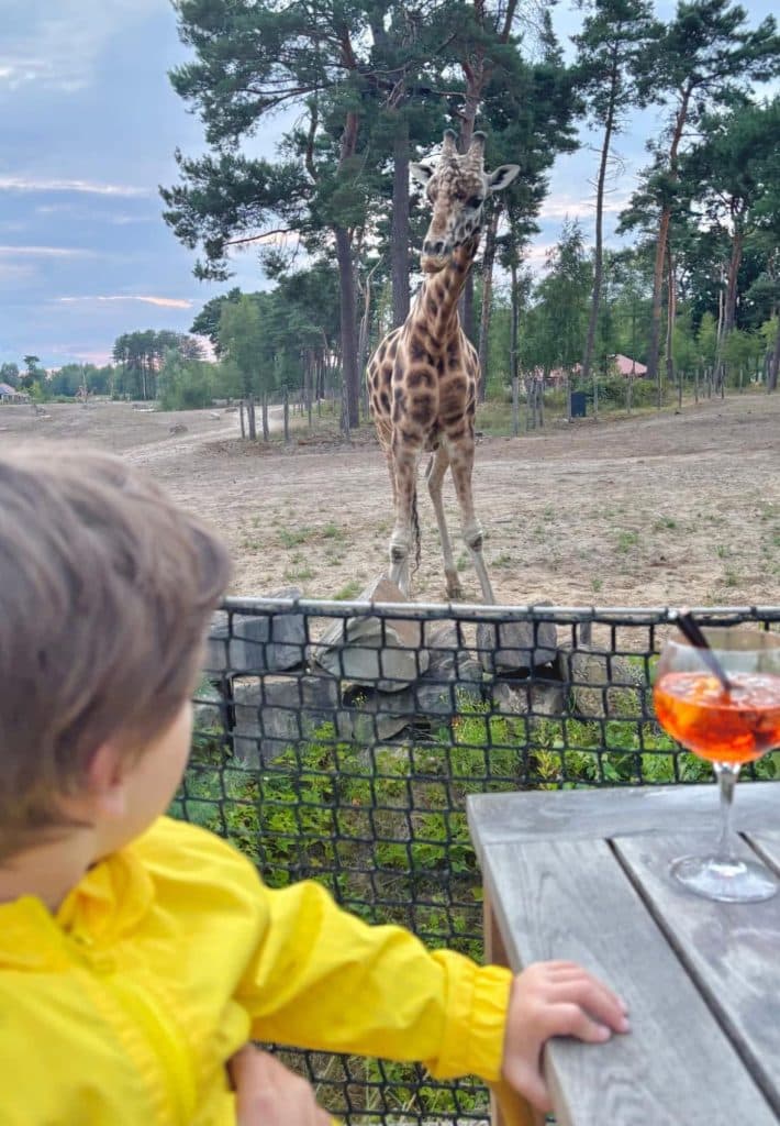 Safari Resort Beekse Bergen