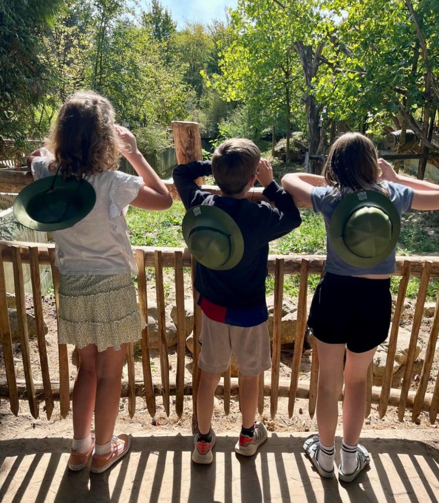 Beekse Bergen safari resort