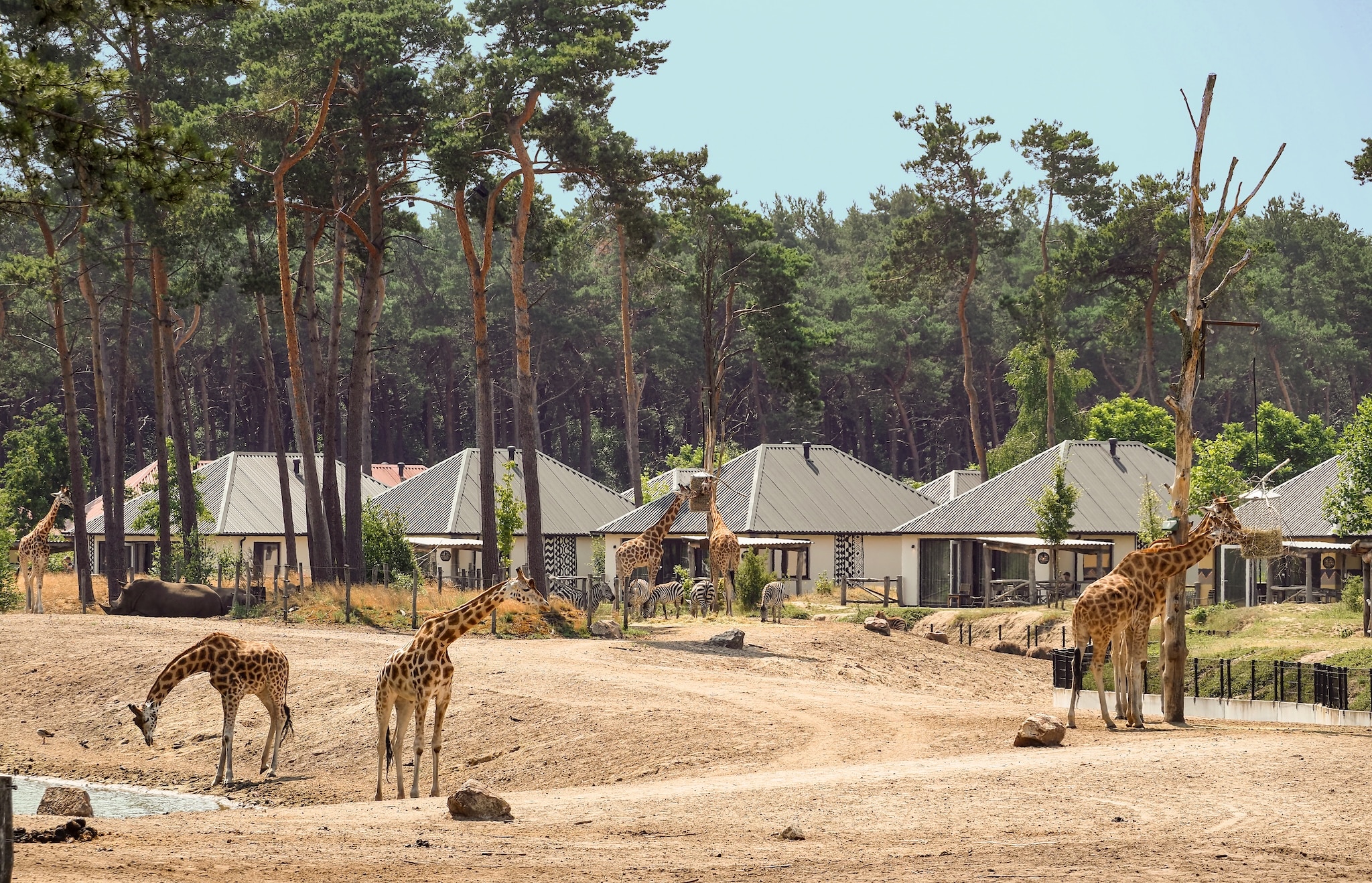 Beekse Bergen Savannah Lodges