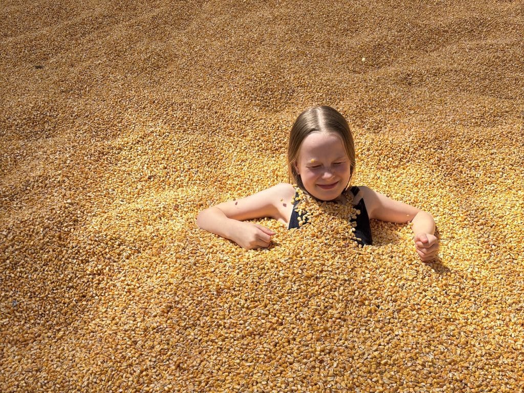Irrland corn pool