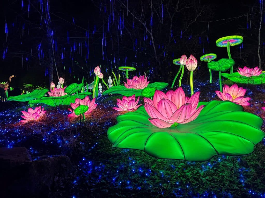 Illuminated Flowers Beekse Bergen