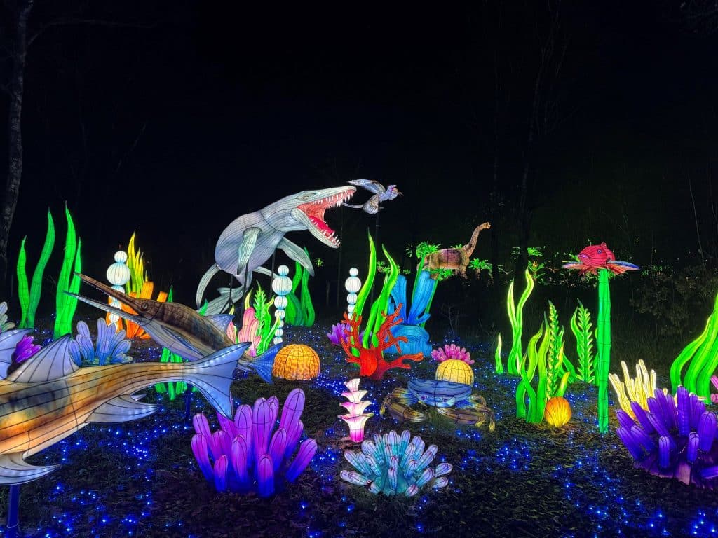 Light Safari Animals