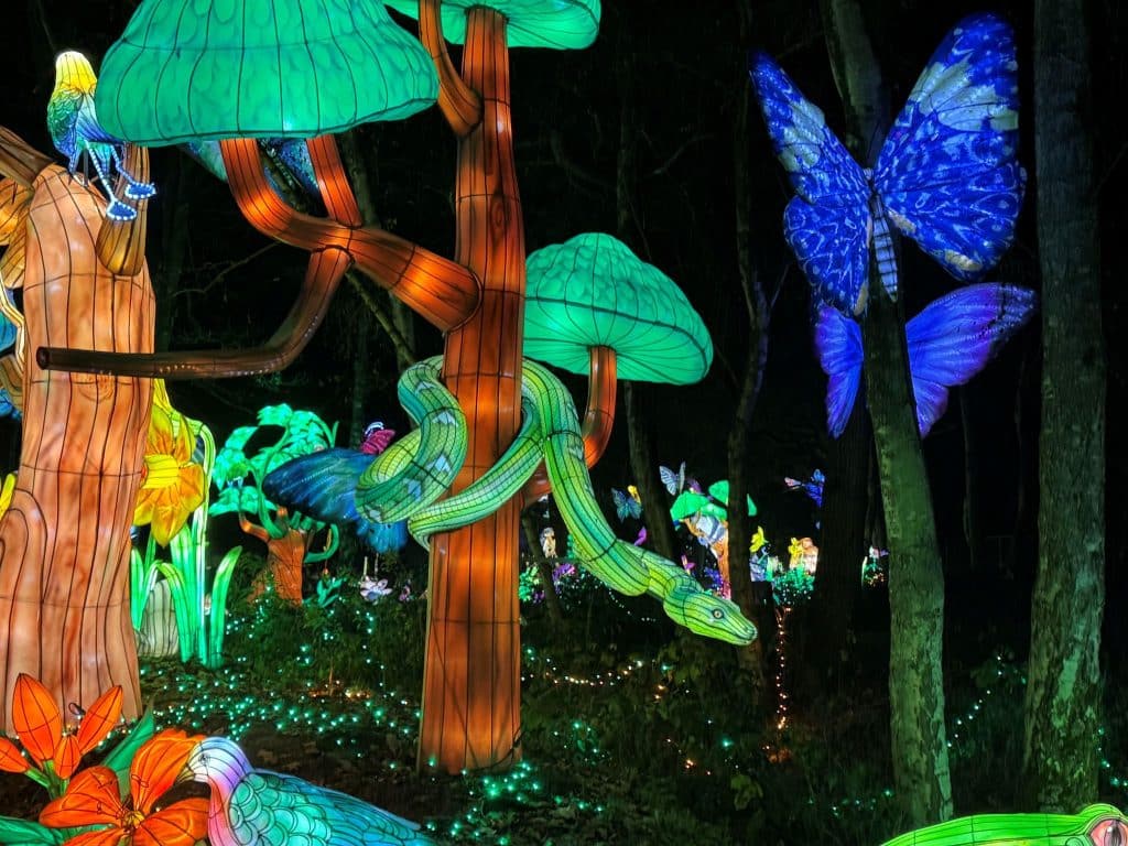 Beekse Bergen Light Safari