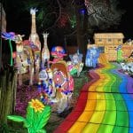 Light Safari Rainbow Path