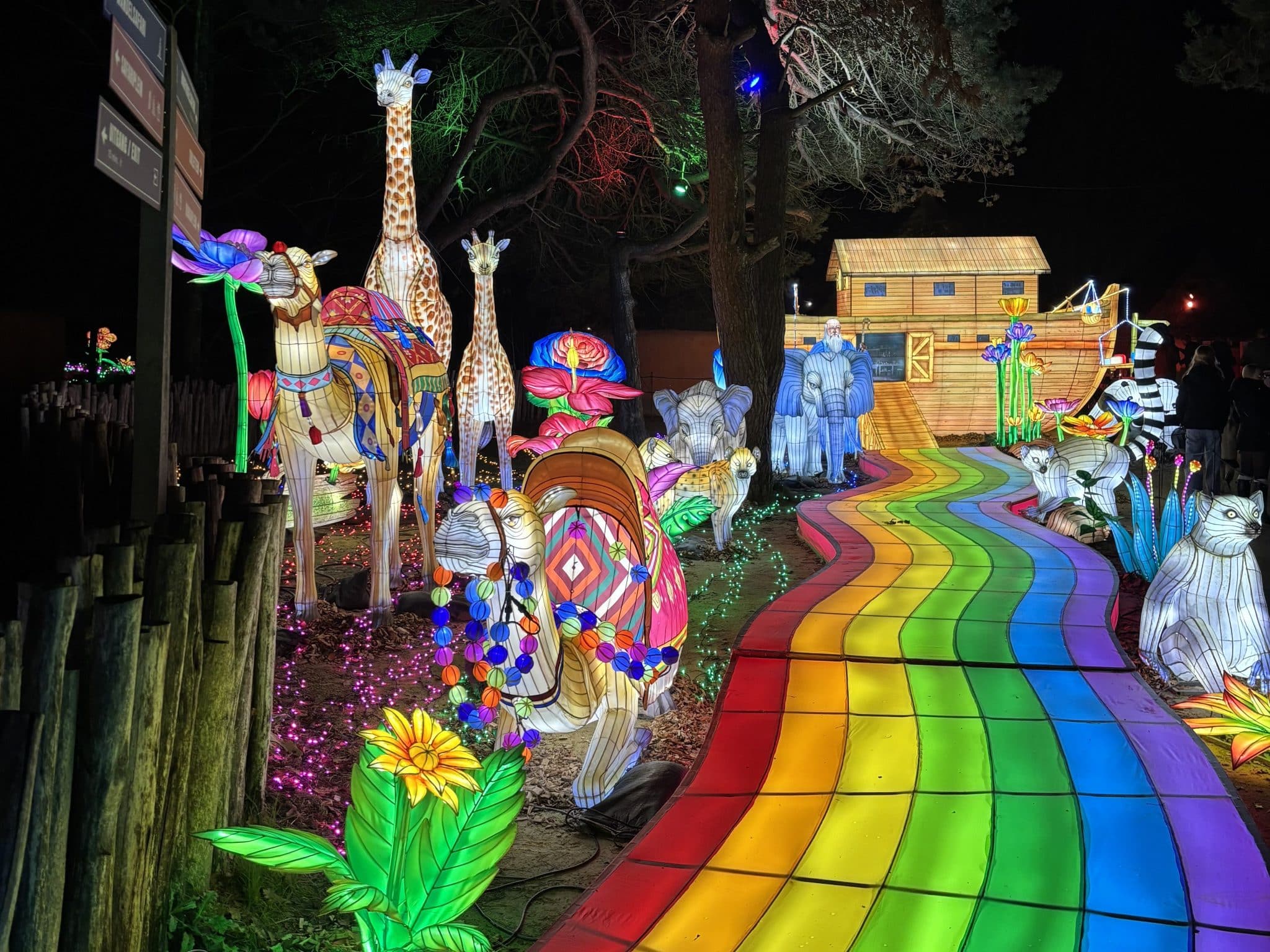 Light Safari Rainbow Path