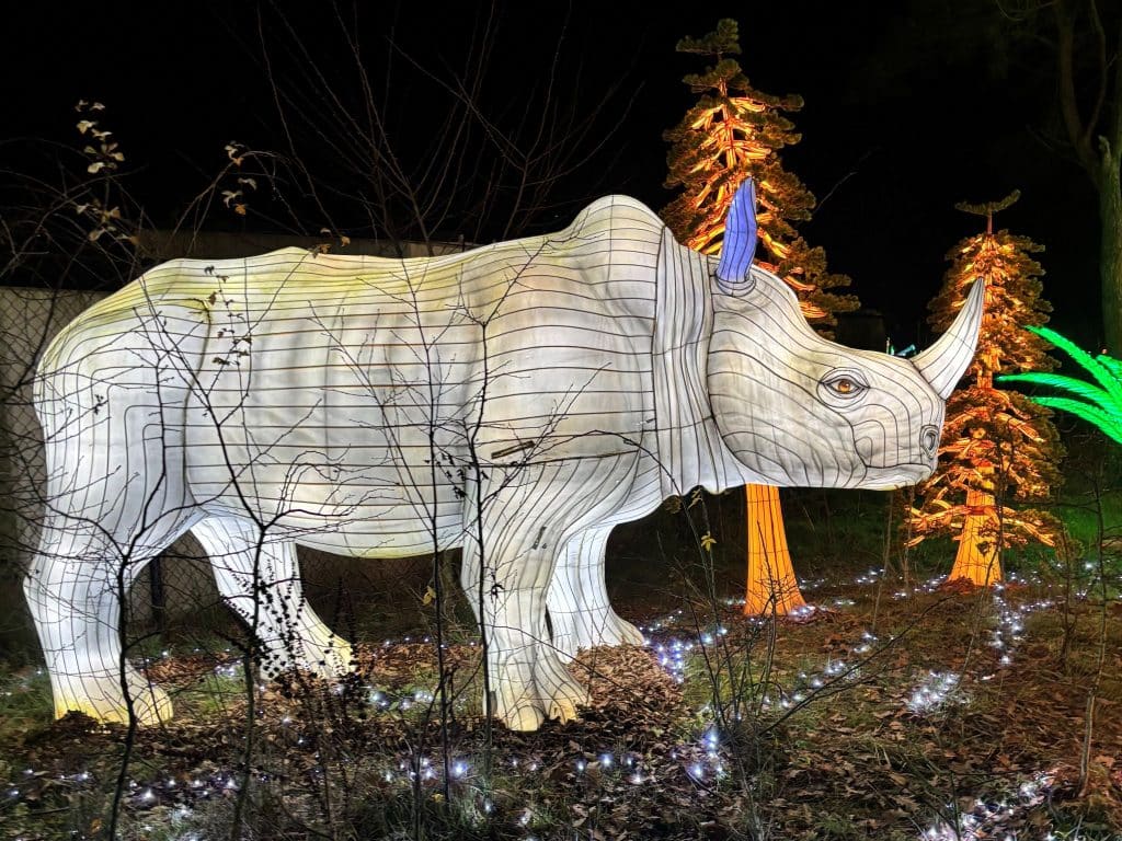 Beekse Bergen Rhino Light Safari