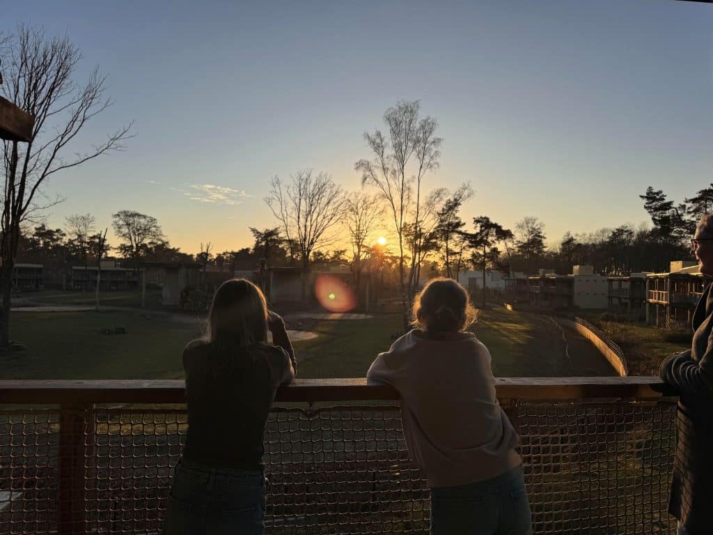 Beekse Bergen Savannah Room Sunset