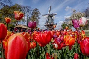 Windmill