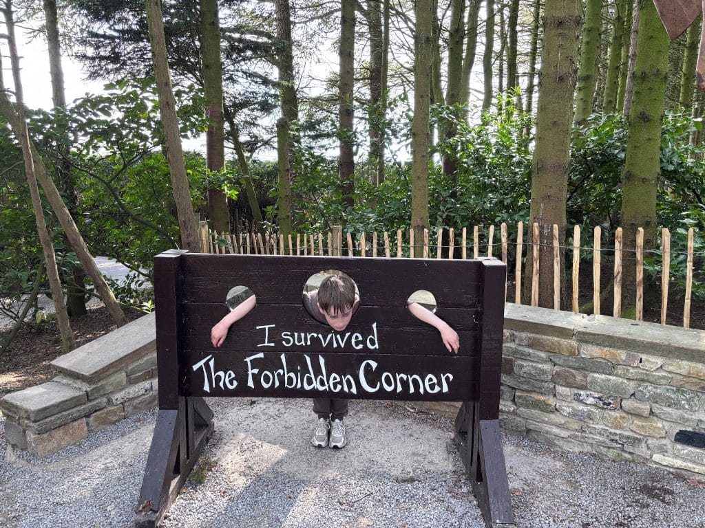 Forbidden Corner