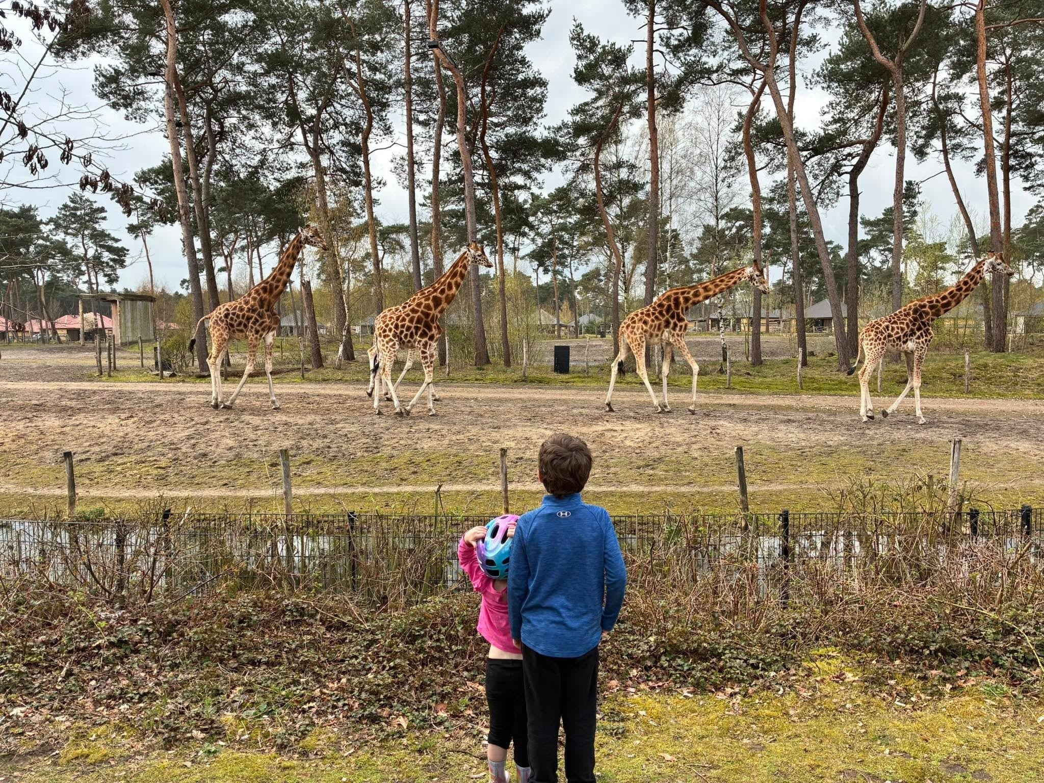 Beekse Bergen Safari Resort