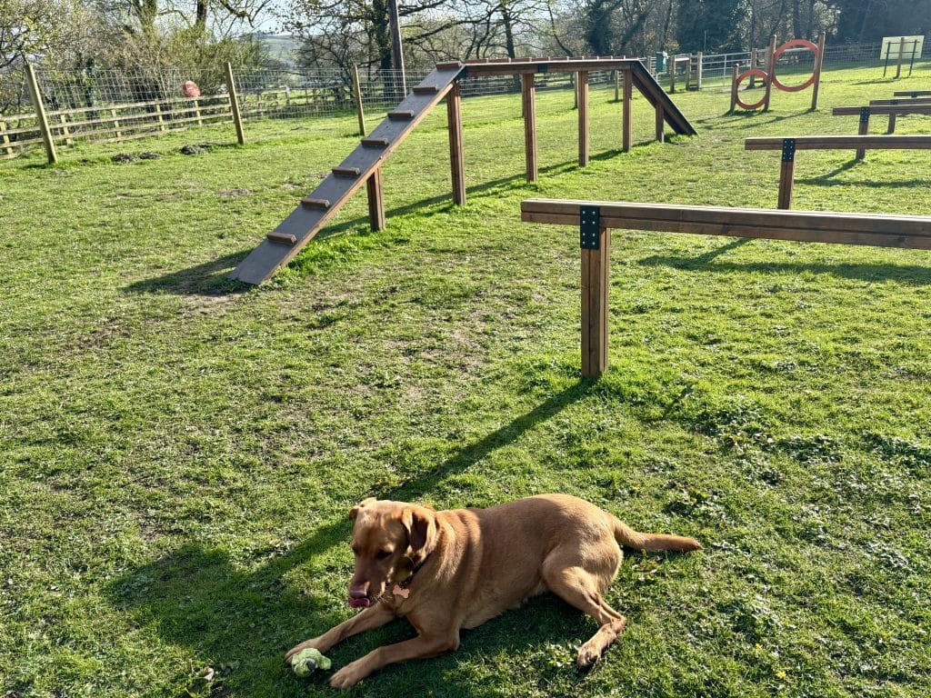 Landal Aysgarth dog agility