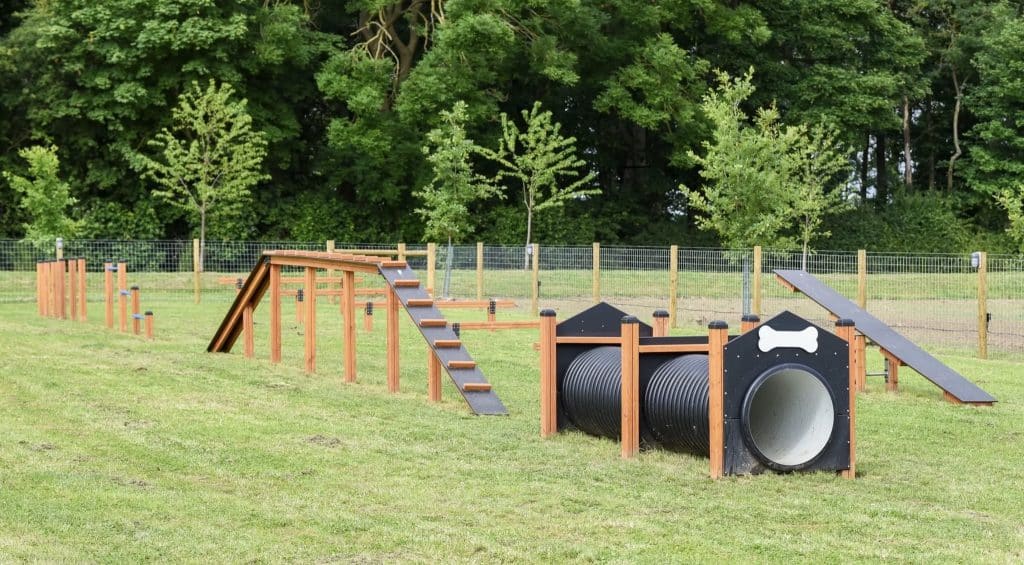 Dog agility course